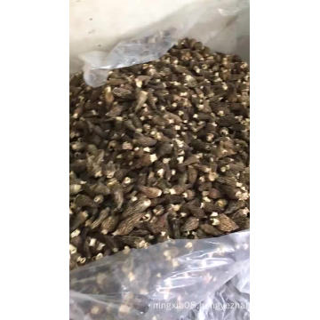 2019 high quality dried morels morchella for green food